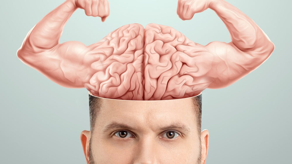 Muscle Memory: The Science of Taking Breaks and Faster Gains