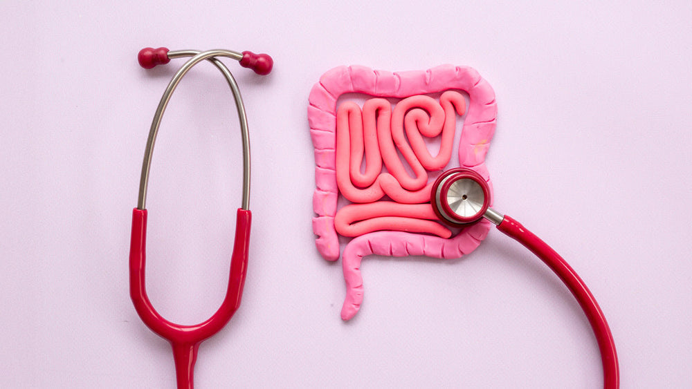 Gut Health Diets: 3 to Embrace, 3 to Avoid for a Happy Gut