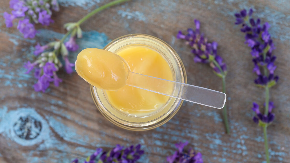 What is Royal Jelly? Unpacking This Unique Bee Product