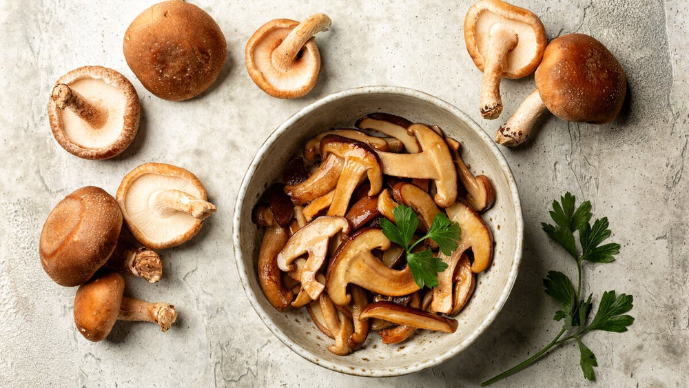 Gut Health and Fungi for Cancer: The Emerging Role of the Mycobiome