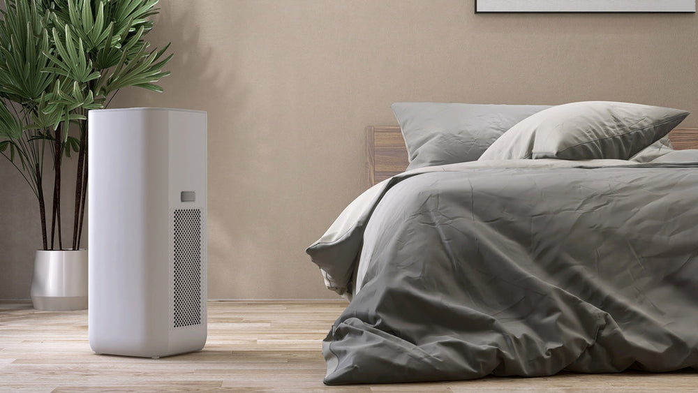 Air Quality and Acid Reflux: Could Your Home Be the Problem?