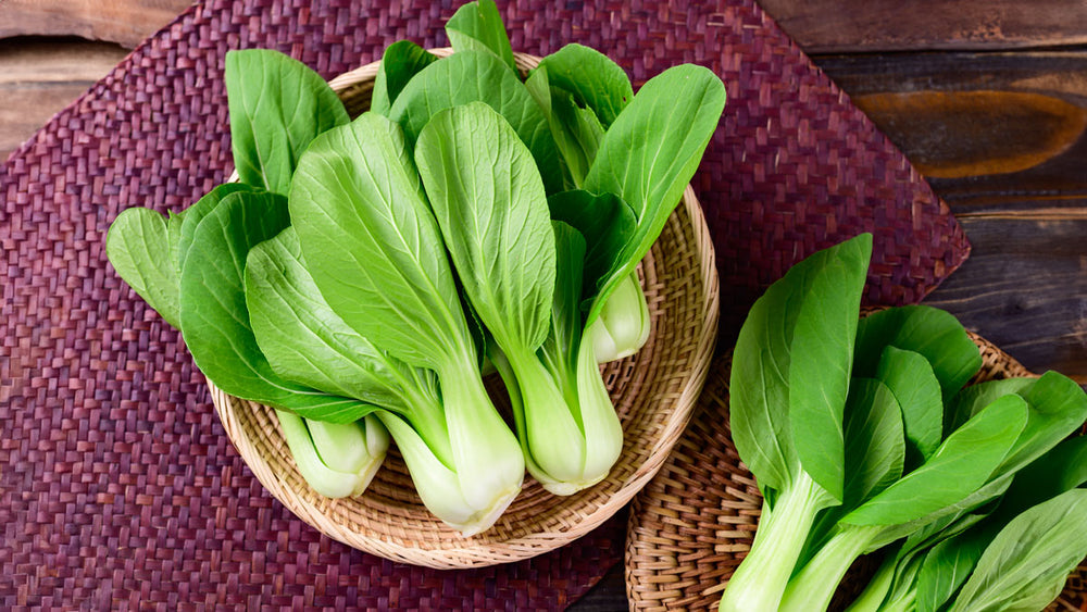 Bok Choy Delights: Exploring Low FODMAP Recipes for IBS-Friendly Dining