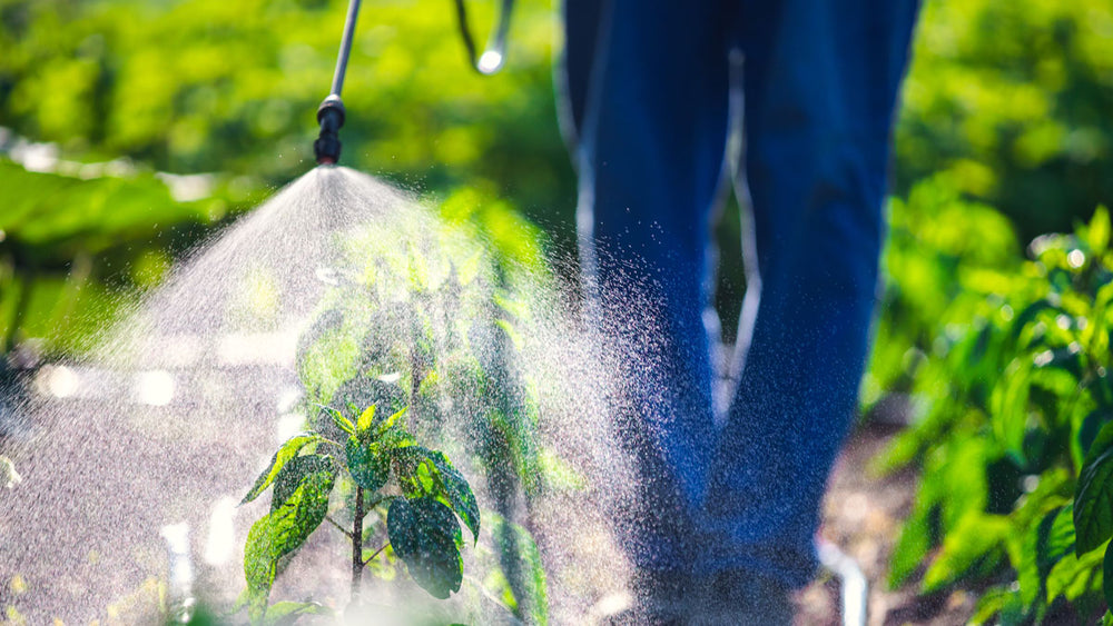 Do Herbicides Affect My Gut Health?