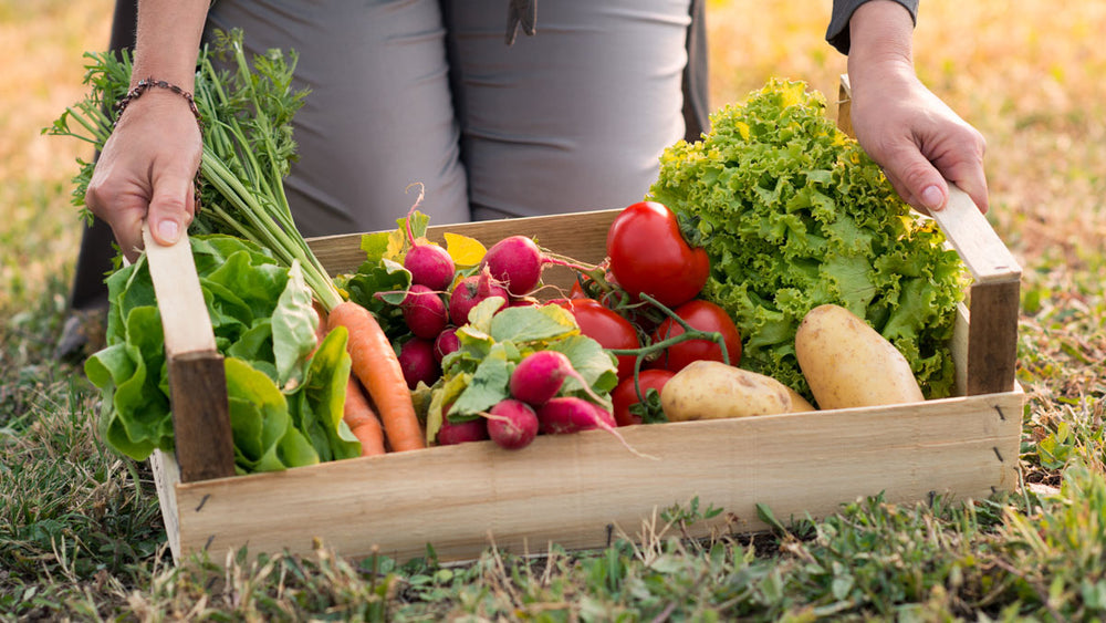 Eating with the Season Mindfully