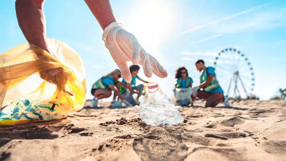 Environmental Pollutants and Gut Health: A Toxic Connection