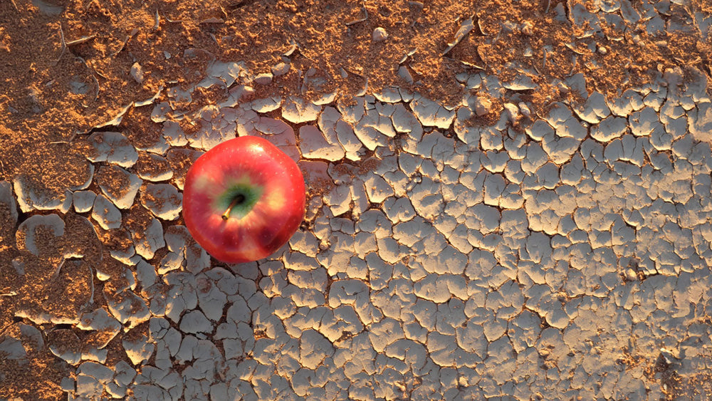 Food Deserts and Health: A Complex Relationship