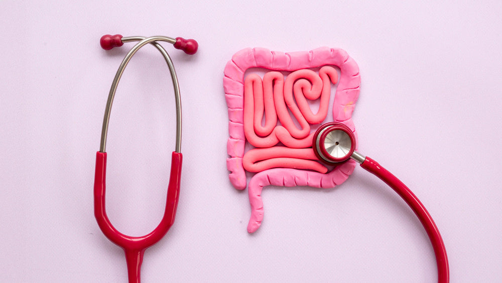 Gut Health Diets: 3 to Embrace, 3 to Avoid for a Happy Gut