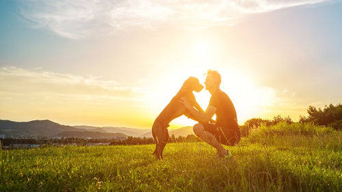 IBS 101: The Brain-Gut Connection
