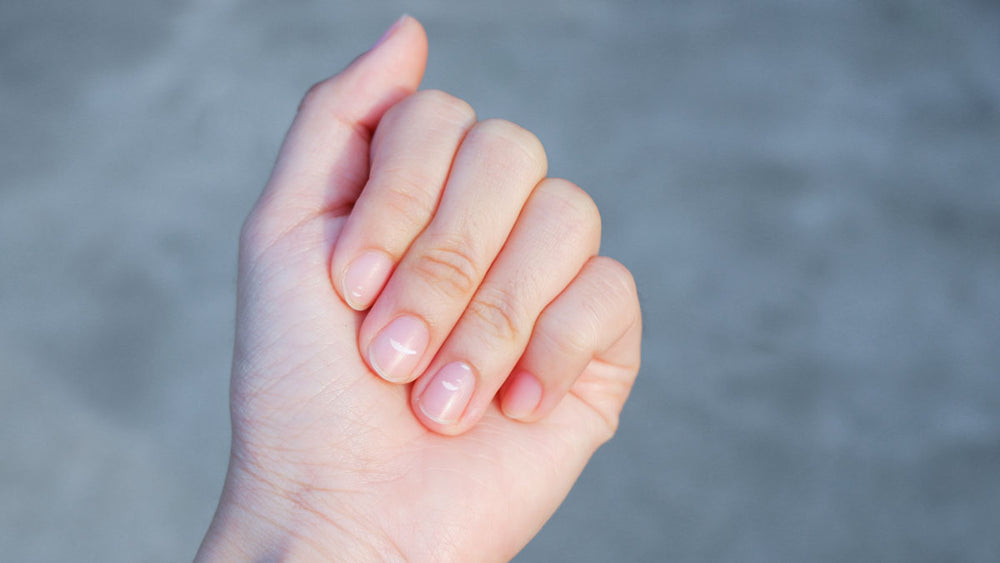 Identifying GI Issues with Nutrition Focused Physical Exams