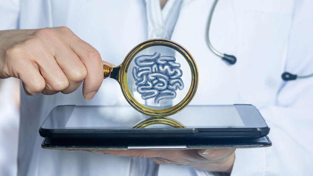 Microbiome Testing Efficacy: What the Science Says About Your Gut Health Report