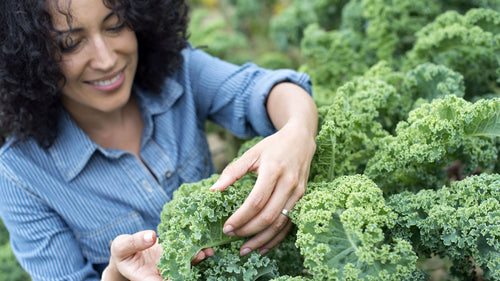 Nutrition Tips for Menopause: Optimizing Your Diet for a Better Life