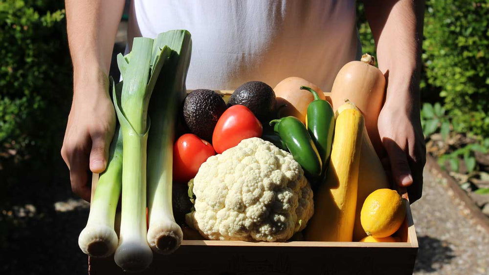 The Gut-Friendly Benefits of Community Supported Agriculture