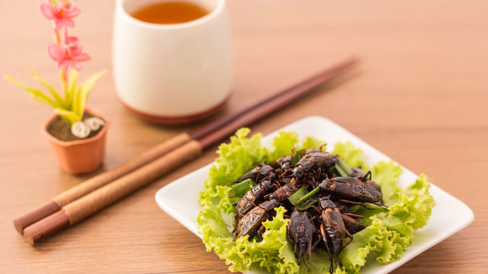 The Insectivore Trend: A Bug's Life on Your Plate