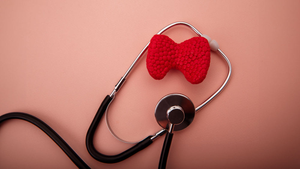 Understanding the the Gut-Thyroid Connection for Optimal Health