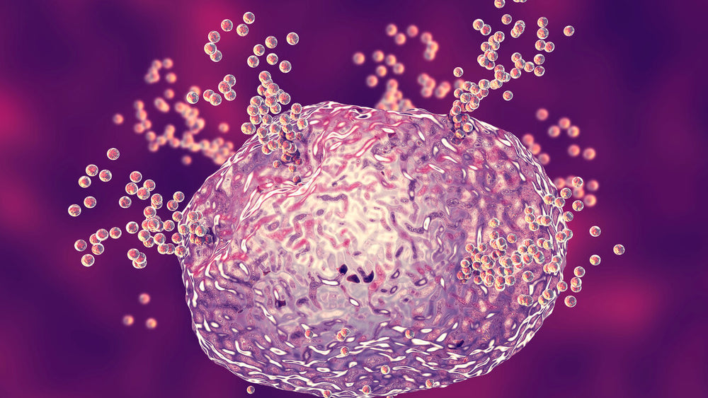 Mast Cell Activation Syndrome (MCAS): Understanding Symptoms, Triggers, and Management