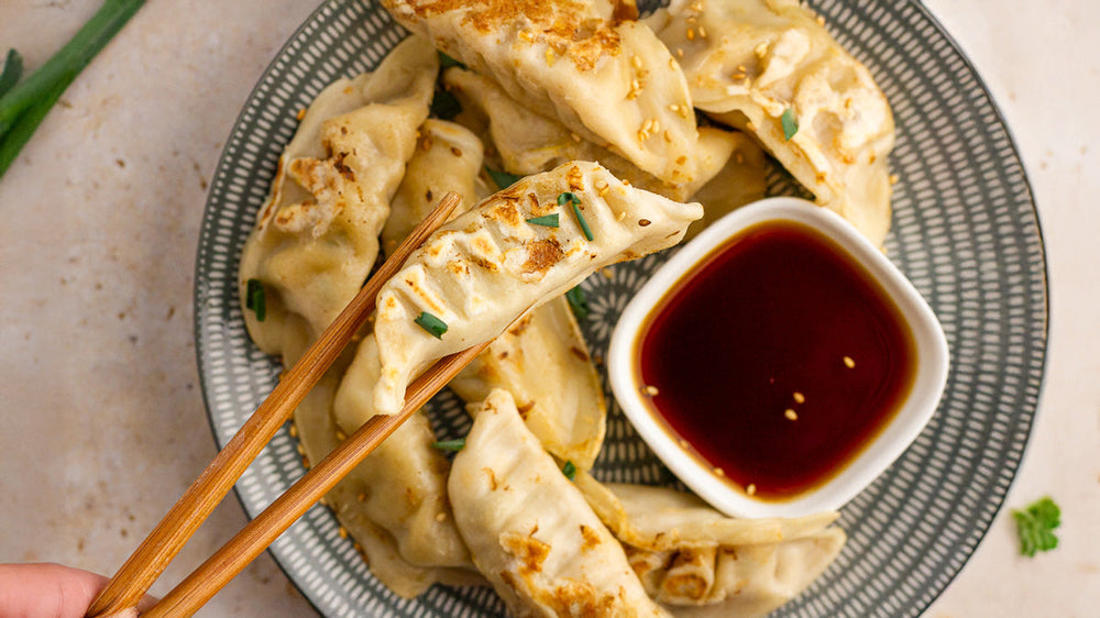 Chicken and Vegetable Dumplings (Low FODMAP-Friendly)