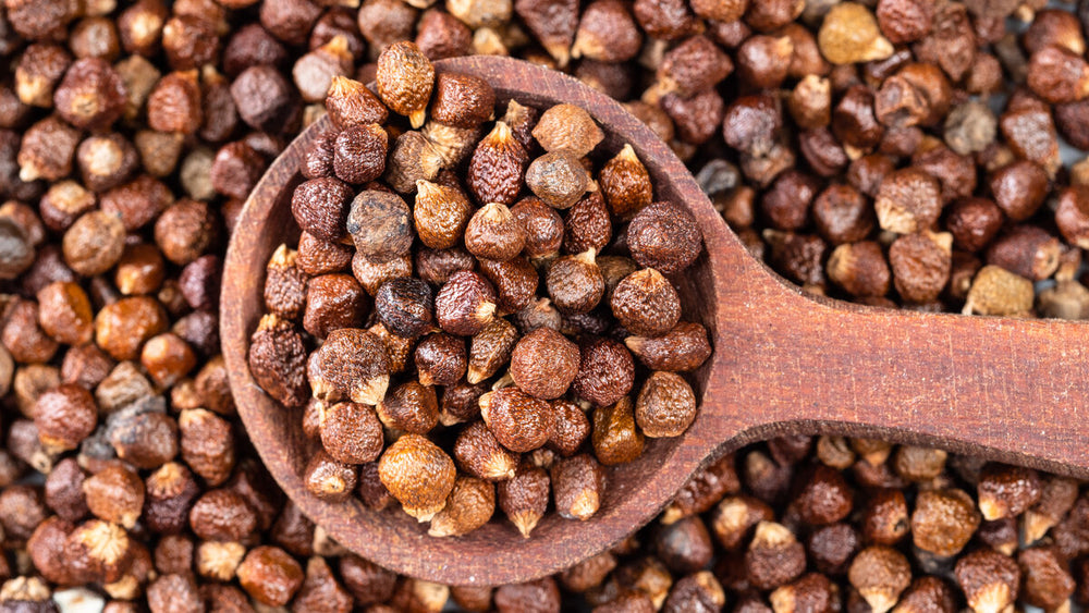 What is Grains of Paradise? Discover This Unique Spice