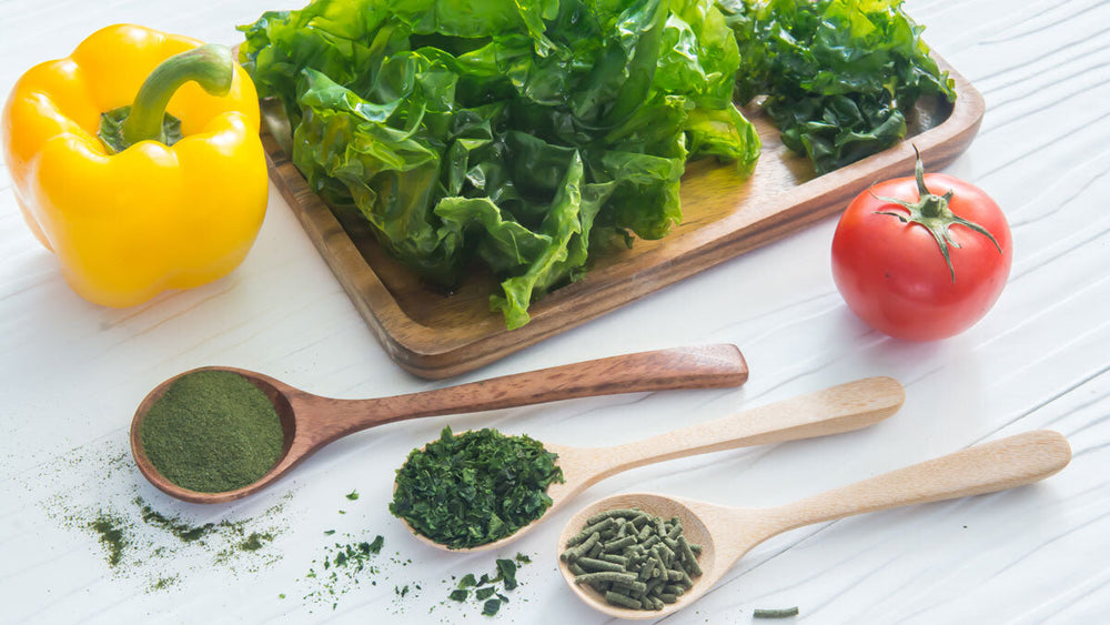 Functional Foods for IBS and GERD: What to Eat and What to Watch For