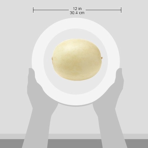 Honeydew Melon