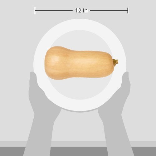 Organic Butternut Squash (1 count)