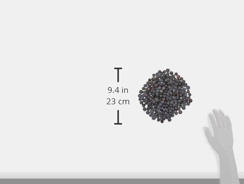 Fresh Blueberries (1 Pint)