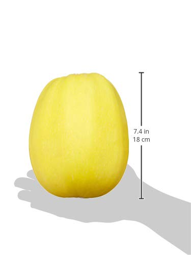 Organic Spaghetti Squash (1 count)