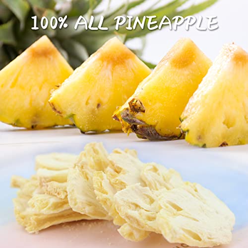 Freeze-Dried Pineapple Chips (0.52 oz, 14 Pack)
