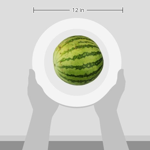 Mini Seedless Watermelon