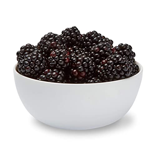 Blackberries (6 oz)