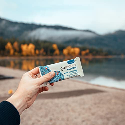 Peanut Butter Organic Vegan Protein Bars (12 ct)