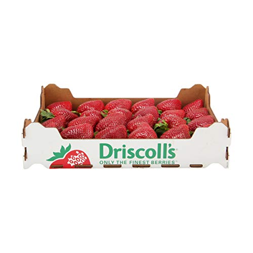 Strawberries (2 lbs)