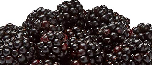 Blackberries (6 oz)