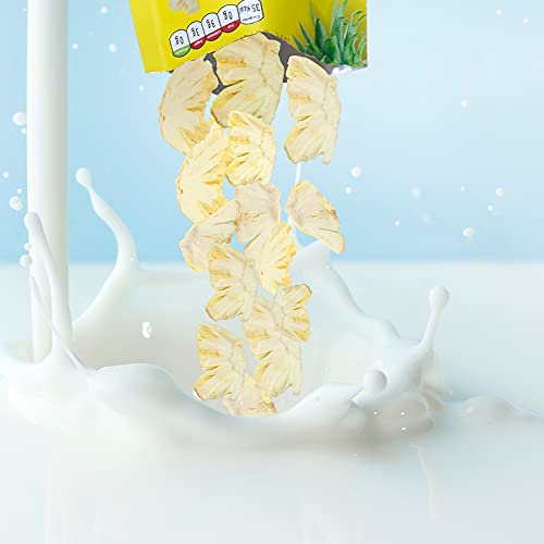 Freeze-Dried Pineapple Chips (0.52 oz, 14 Pack)