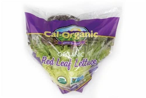 Organic Red Leaf Lettuce (1 head)