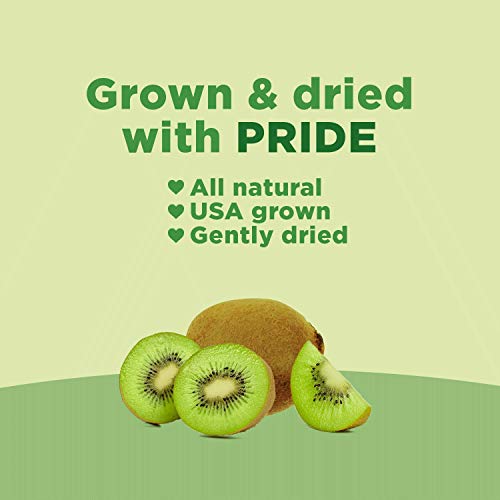 Tangy Kiwi Dried Fruit (3oz, 3 Pack)