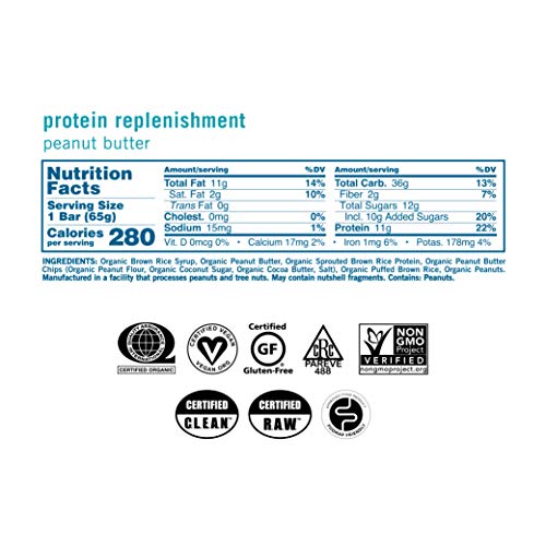 Peanut Butter Organic Vegan Protein Bars (12 ct)