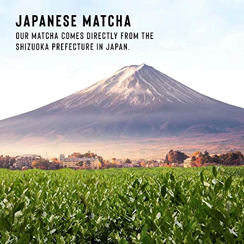 Gluten-Free Vegan Plant Protein Bars - Japanese Matcha Vanilla (8 Pack)