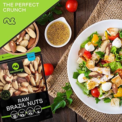 Raw Brazil Nuts (16 oz)