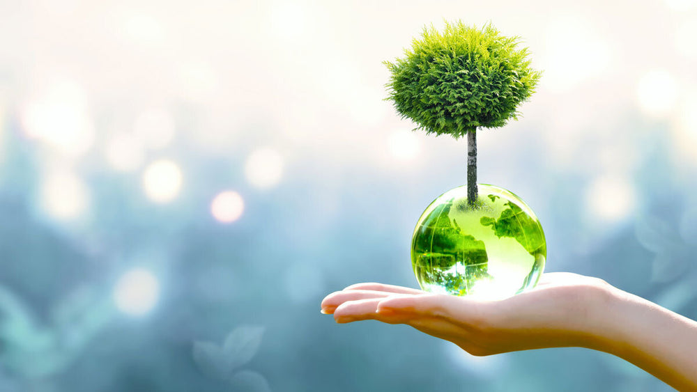 IBS, Elimination Diets, and Eating Disorder Risk (Part 1: What to Know Before You Start) 