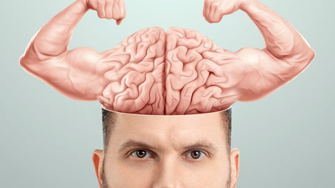 Muscle Memory: The Science of Taking Breaks and Faster Gains