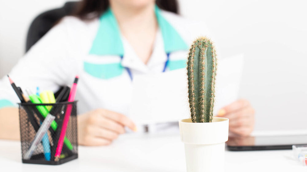 Hemorrhoids and IBS: Causes, Symptoms, and Relief Strategies