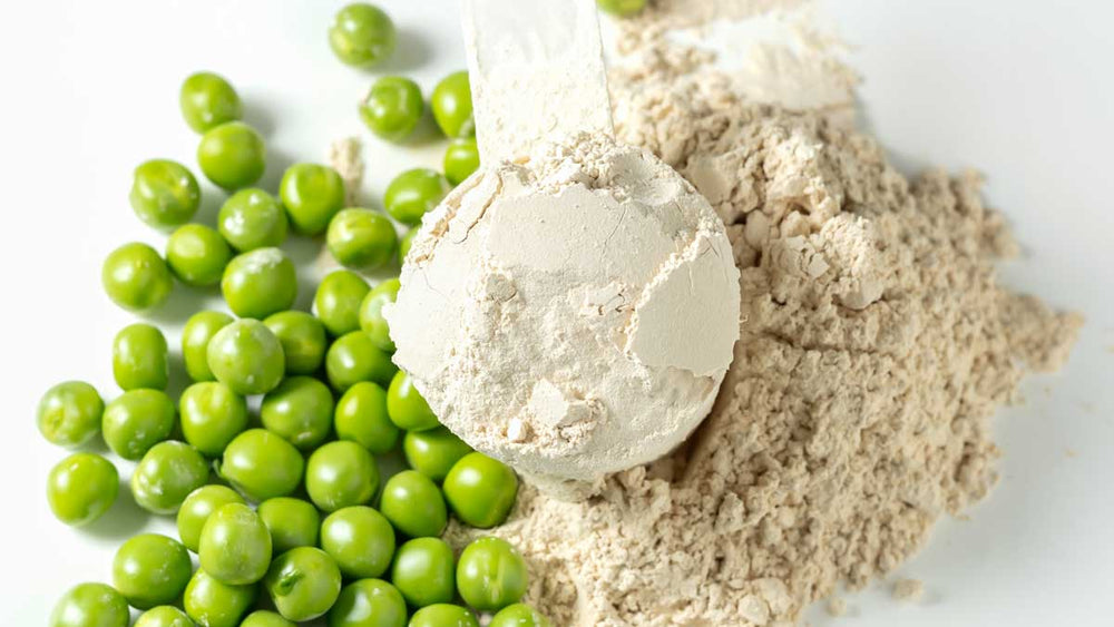 A Guide to Plant-Based Protein Powders for Gut Health