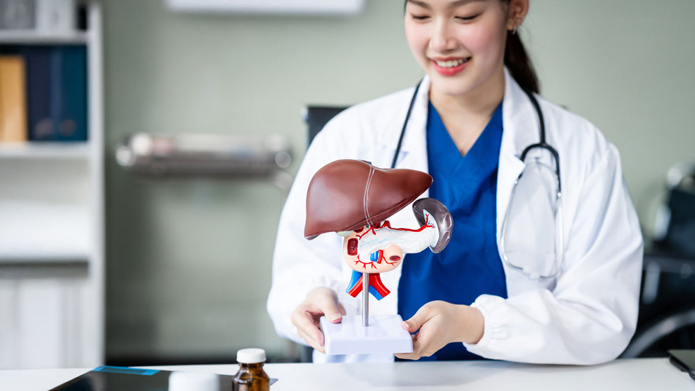 Bile Acids and Digestive Health: A Closer Look