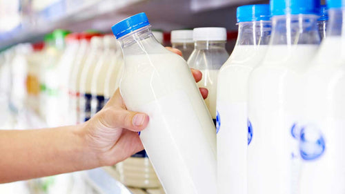 Choosing the Right Milk and Plant-Based Milk Alternative for You