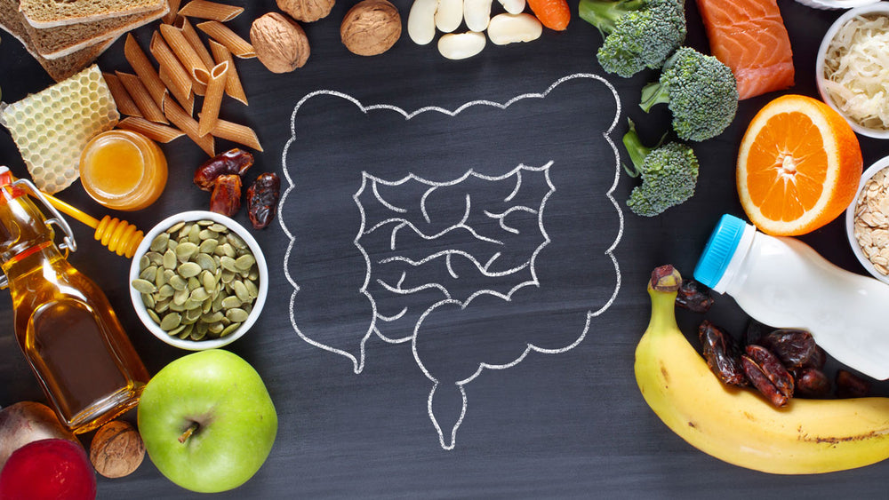 Mastering Gut Health: How Diet Influences Your Microbiome