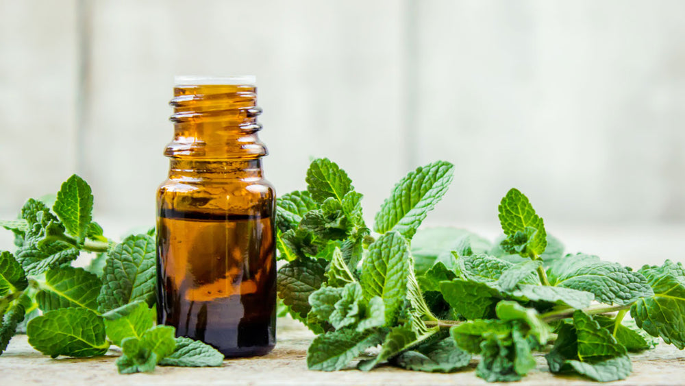 Peppermint Oil For IBS Management