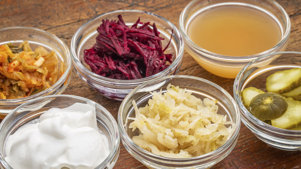 Fermentation and Gut Health