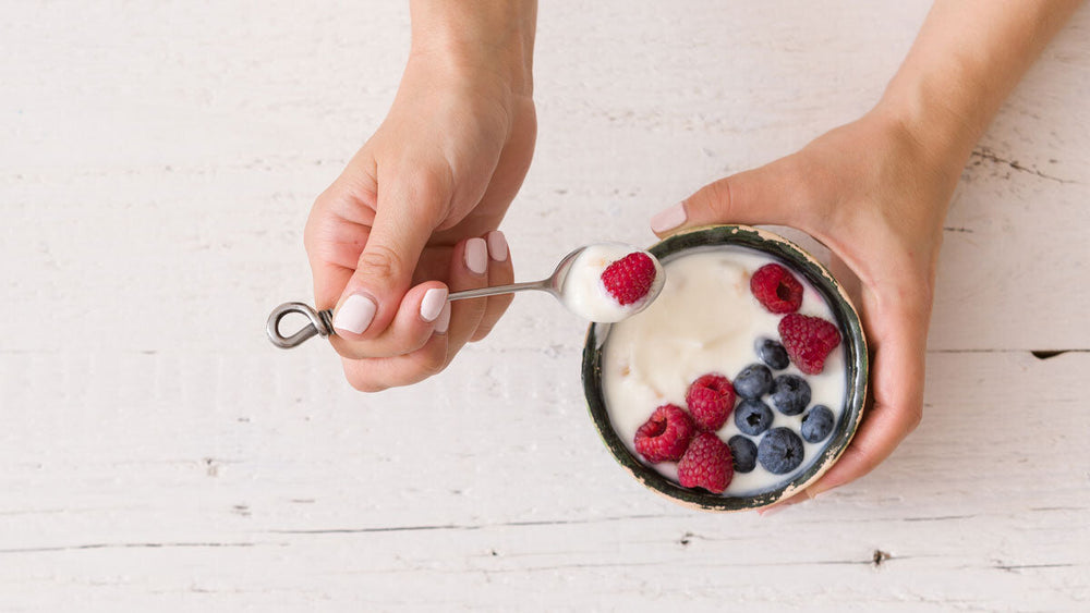 The Gut Microbiome, Obesity, and Probiotics Explained