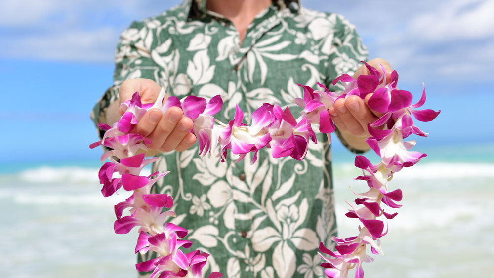 The Mid-Year Reset: Reflecting on Wellness, Stress, and Gut Health