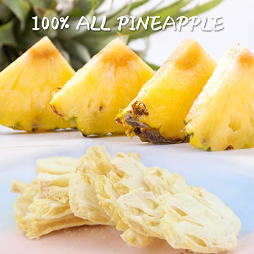 Freeze-Dried Pineapple Chips (0.52 oz, 14 Pack)